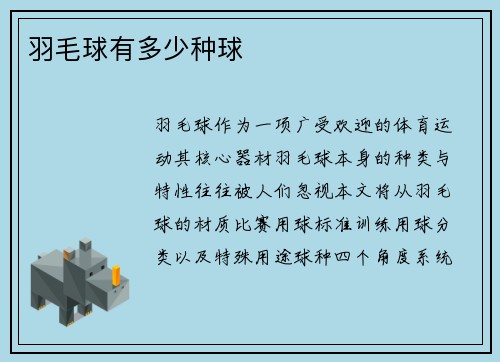 羽毛球有多少种球